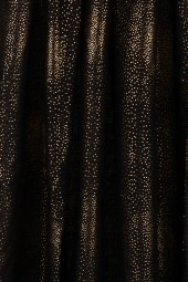 10841 Black 9