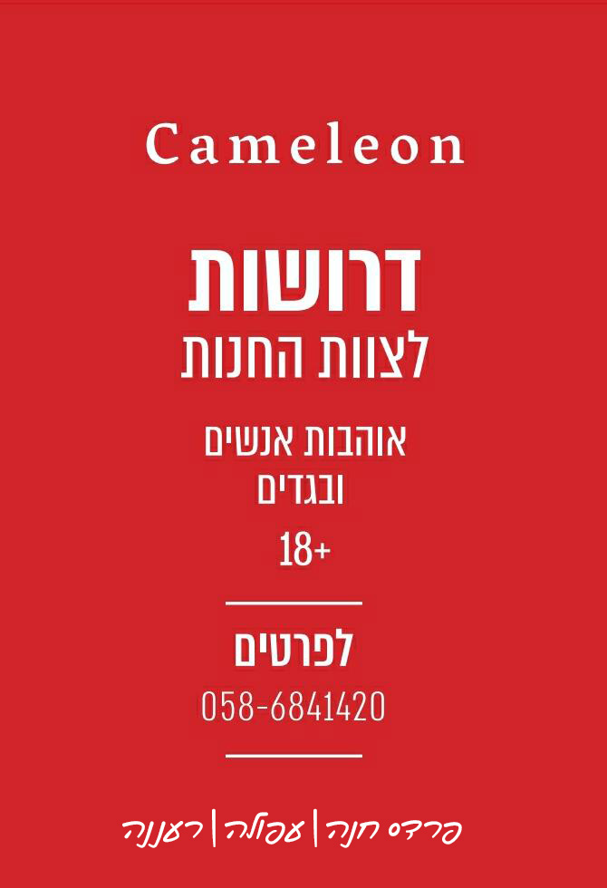 צוות נתיבות