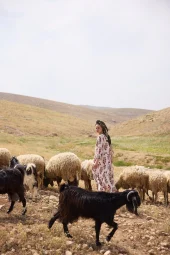 cameleon_shavuot_26435
