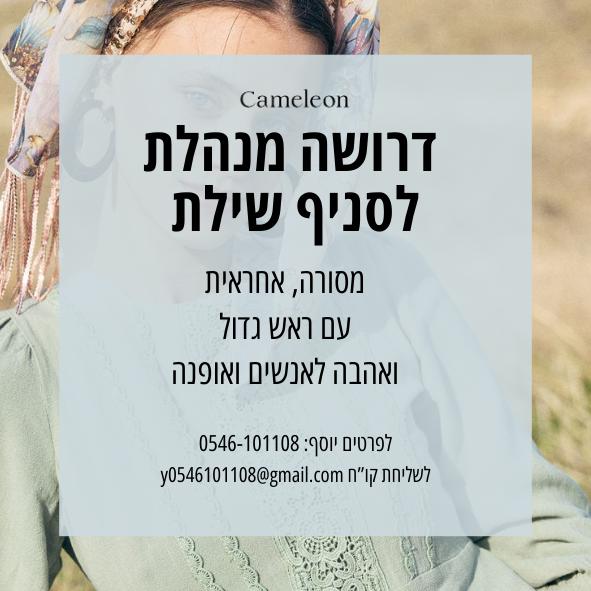 דרושה לחנות שילת