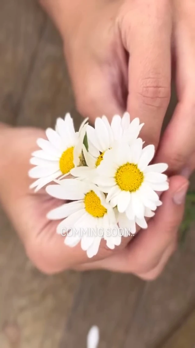 עוד קצת וזה כאן🤌🏼🌾
קולקציית שבועות משמחת בדרך.